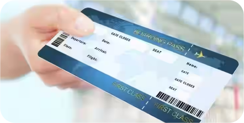 Domestic & International Ticketing